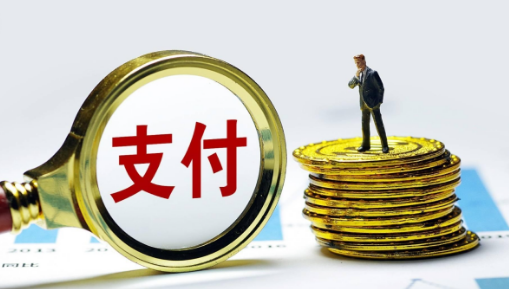 2.0支付联盟的兴衰：瑞伙伴如何在变革中寻找新的机遇